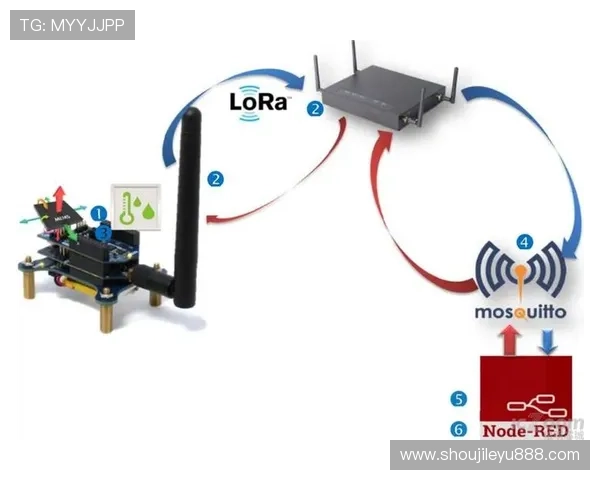 乐鱼网址登录线路异常导致的在线游戏中断解决方法指南